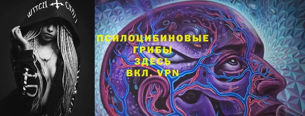 крисы Переславль-Залесский